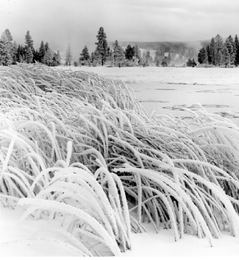Photo of Field